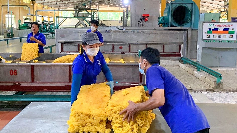 Cao su Việt Nam (GVR): Tổng công suất chế biến có thể nâng lên mức 200.000 tấn/năm